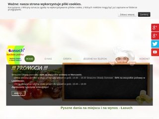 Miniaturka lasuch.waw.pl