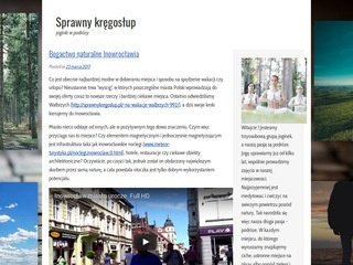 Podgląd sprawnykregoslup.pl