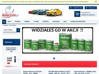 Podgląd kolorysta.pl