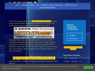 Miniaturka witotrans.pl