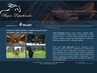 Podgląd lopuchowo.pl