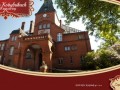Podgląd palacwkobylnikach.pl