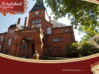 Podgląd palacwkobylnikach.pl