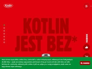 Podgląd ketchupy.pl
