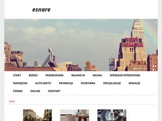 Podgląd esnare.pl