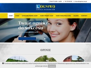 Podgląd ogniwo.net.pl