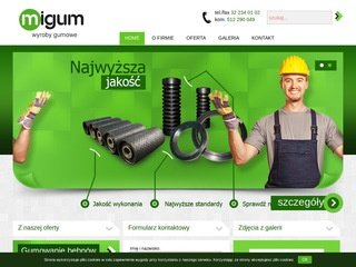 Podgląd migum.com.pl