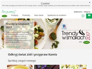 Podgląd kamis.pl