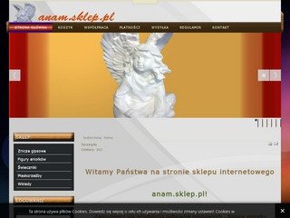 Podgląd anam.sklep.pl