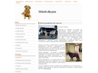 Podgląd wozekdlapsa.pl