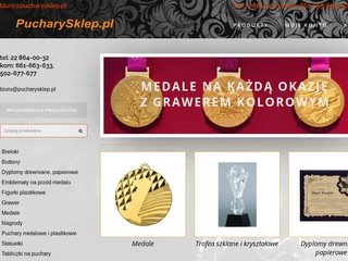 Podgląd pucharysklep.pl