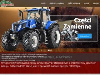 Podgląd artprol.pl
