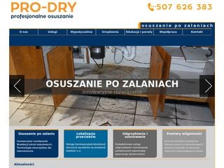 Podgląd pro-dry.pl