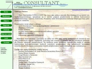 Podgląd bi-consultant.pl