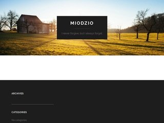 Podgląd miodzio.net
