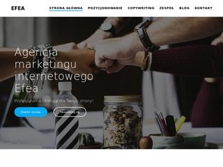 Podgląd efea.pl