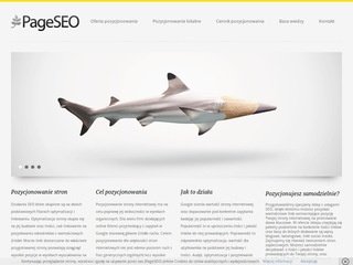 Podgląd pageseo.pl