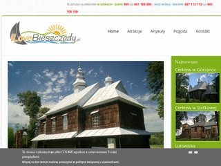 Podgląd ilovebieszczady.pl