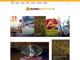 Podgląd biznesinstytut.pl
