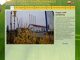 Podgląd acidizing.com.pl