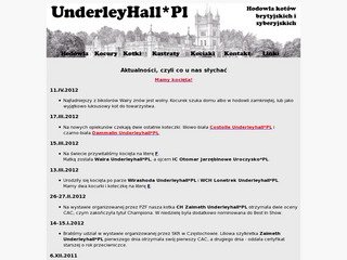 Podgląd underleyhall.nbox.pl