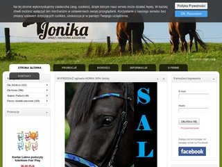 Podgląd jonika.pl