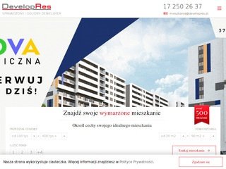 Podgląd developres.pl