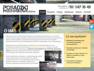 Podgląd posadzki-przemyslowe.net