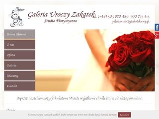 Podgląd uroczy-zakatek.pl