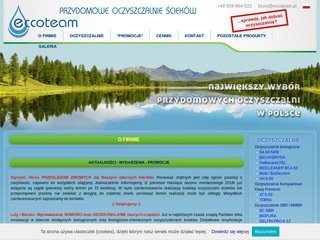 Miniaturka eccoteam.pl