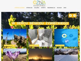 Podgląd beskidy-ozna.pl