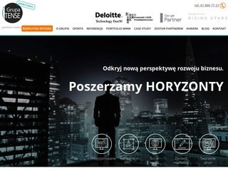 Podgląd grupa-tense.pl
