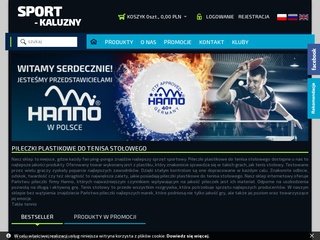 Miniaturka ping-pong.com.pl