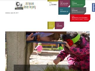 Podgląd childhorizons.pl