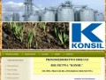 Podgląd konsil.pl
