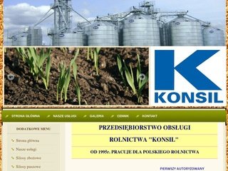 Podgląd konsil.pl