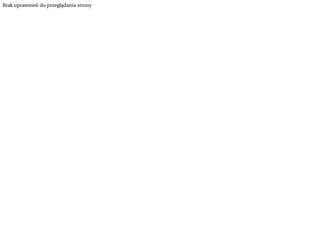 Podgląd domydrewnianeletniskowe.pl