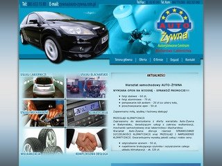 Podgląd auto-zywna.com.pl