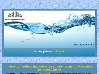 Podgląd studniepompykrosno.pl