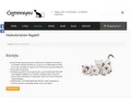 Podgląd ragdoll-lagooneyes.pl