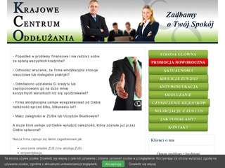 Miniaturka krajowecentrumoddluzania.pl