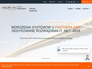 Podgląd hicron.com