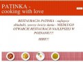 Podgląd patinka.pl