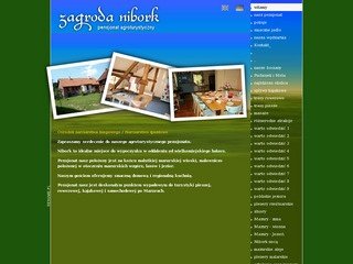 Podgląd nibork.pl