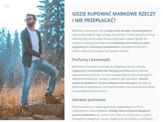 Podgląd hostelabsynth.pl