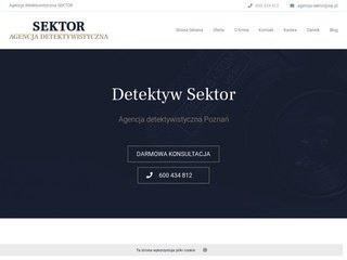 Podgląd detektyw-sektor.pl
