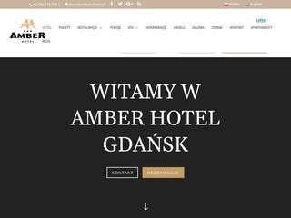 Miniaturka amber-hotel.pl