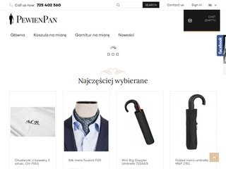 Podgląd pewienpan.pl