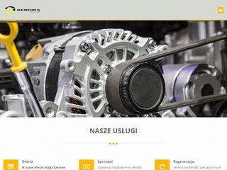 Podgląd naprawa-rozrusznikow.radom.pl