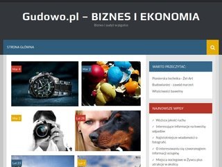 Podgląd gudowo.za.pl